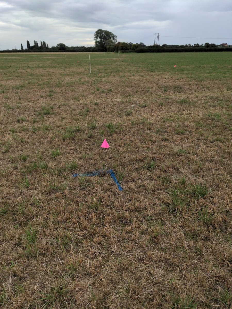 Adrian Handbury tweet media