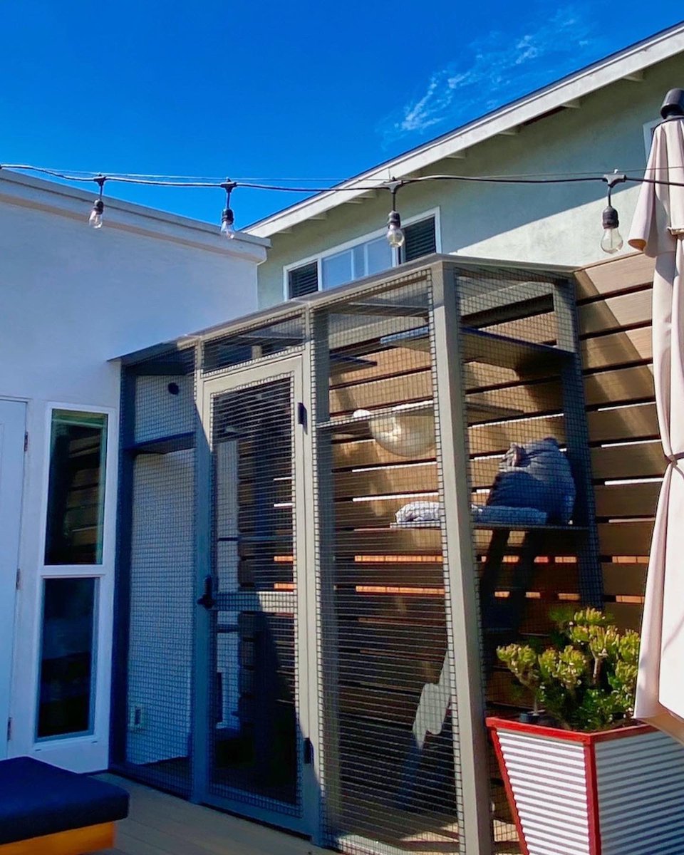 CatioGuy's tweet photo. Imelda loves her new Belmont in Long Beach, CA! Ella , her 5-year-old hooman guardian, is a fan too!

#cat #cats #catio #catios #catioguy #customcatio #customcatios #catsoflosangeles #catlife #lovecats #lovecats😻 #catlover #catlovers #catloversclub #catloversworld #meow https://t.co/HrsGYcWgBG