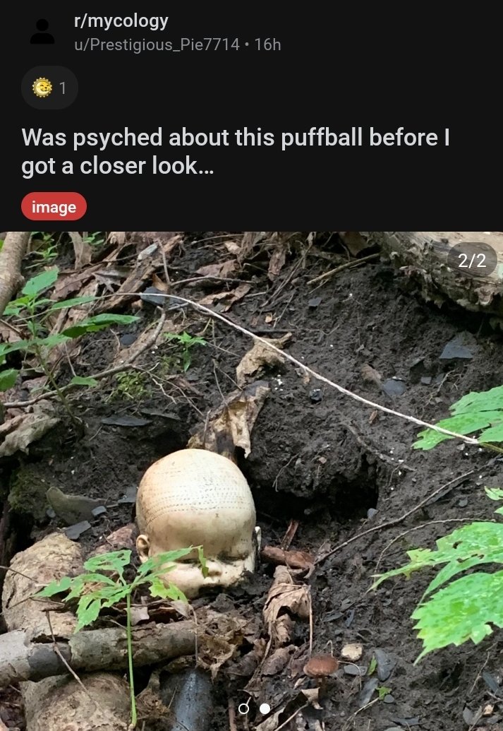 TrueMagicFacts's tweet photo. Not uncommon I guess? https://t.co/Vy4z2dtpi6