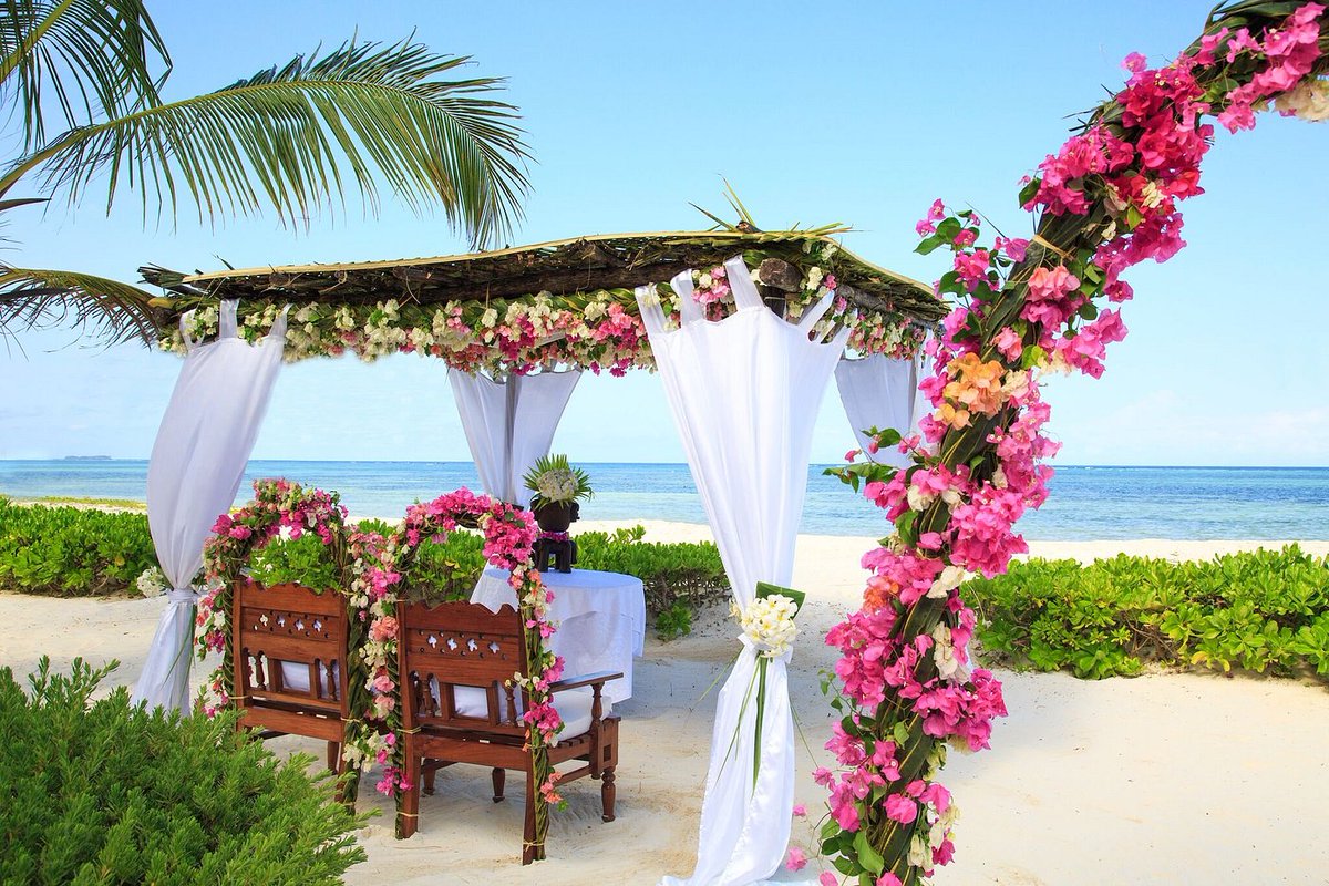 TheWorldsBestH1's tweet photo. The Top 25 Small Hotels in The World, From The Tripadvisor 2022 Travellers Choice Ratings: 25. Next Paradise Boutique Resort, Pwani Mchangani, Tanzania https://t.co/3JZYDtyajC 
#nextparadisebotiqueresort #pwanimchangani #Tanzania #Tripadvisor #hotel #theworldsbesthotels https://t.co/URBSIOq7sK
