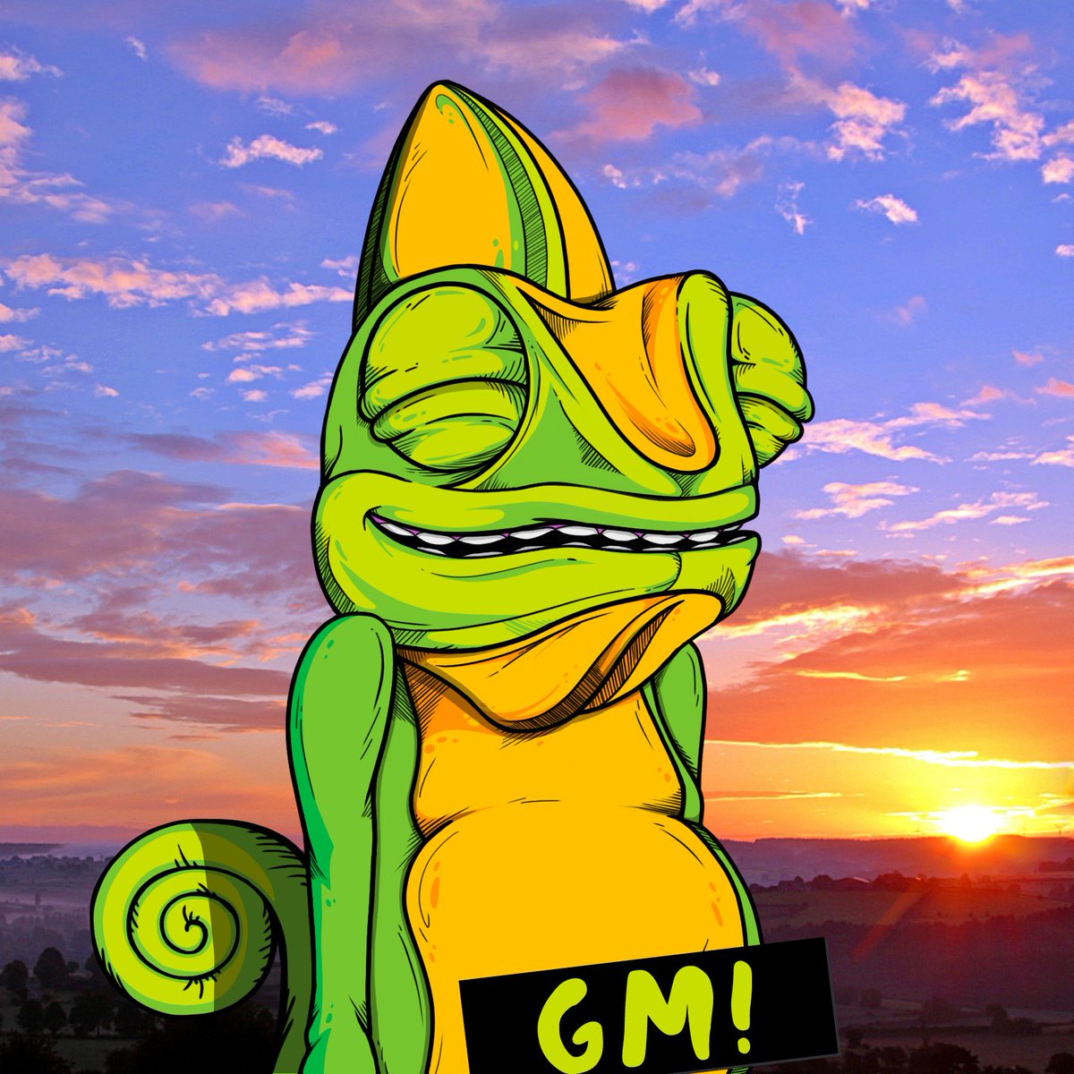 gm all you beautiful creatures! #NFTs #chamfam