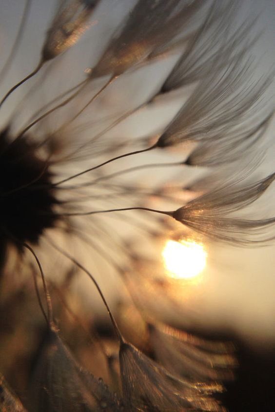 MidwestFantasy's tweet photo. My happy place
is not a place

It is an atmosphere
and frame of mind

It is words
fluttering around me
tickling
playing
hugging
wrapping me in joy
nudging my mind
oh so sweetly
into far away thoughts
where ink
may tie them together
with a beautiful bow🎀

#mondaythoughts #poetry https://t.co/la2pPYHM0J