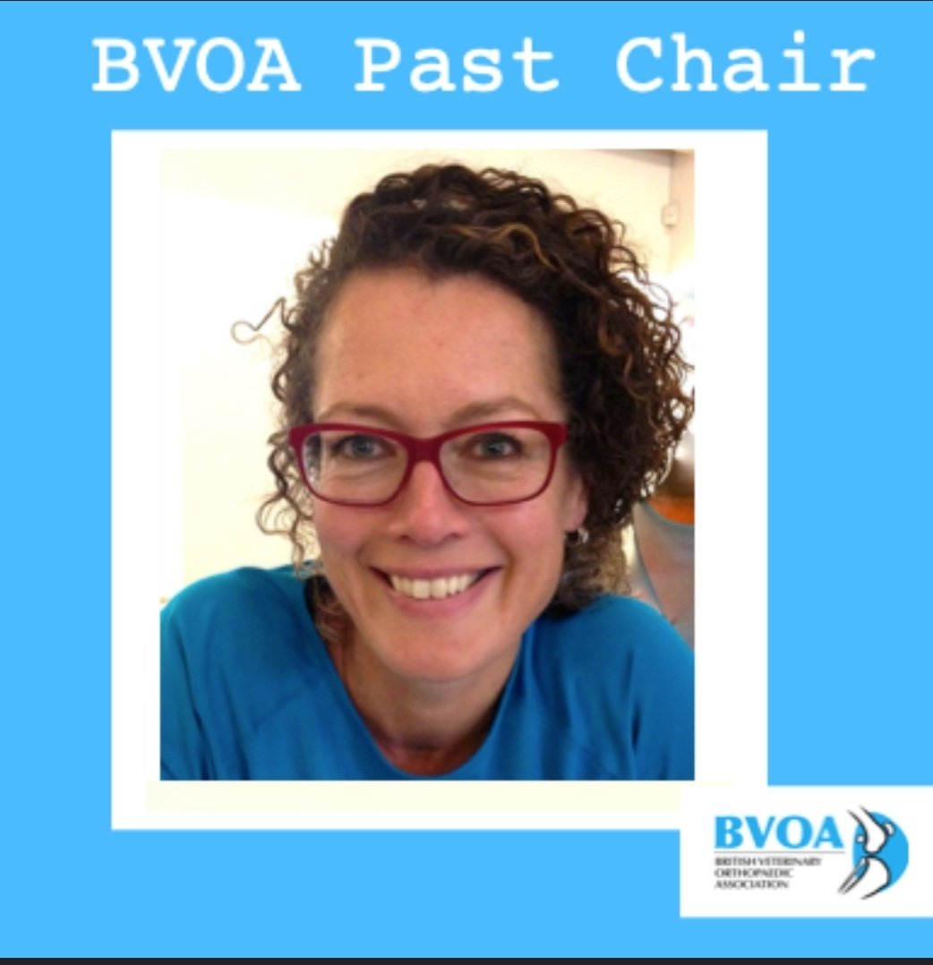 TheBVOA's tweet photo. Meet the team Monday👋
Meet Sarah Girling who stays on #BVOA as past chair. #masseyuniversity graduate 🇳🇿most of career in🇬🇧 #RCVS #smallanimalsurgery #ECVS diplomat .Committed to #clinicalexcellence huge inspo #womeninorthopaedics
#vetortho #orthotwitter @fitzpatrickref https://t.co/6ni4CQxwLu