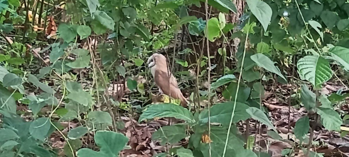 योगी आदित्यनाथ (@ranjitk37472884) on Twitter photo 