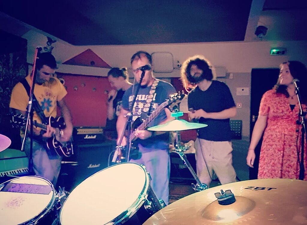 Funky Nature tweet media