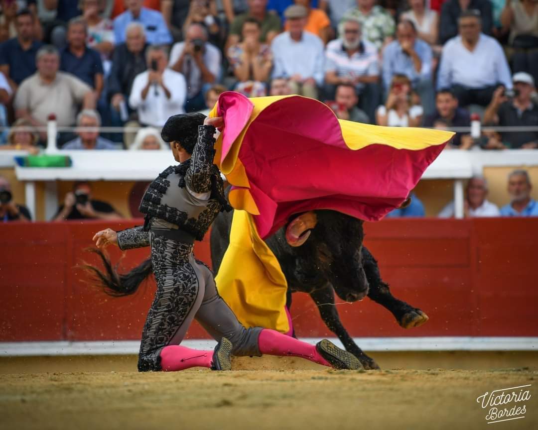 Arènes de Bayonne tweet media