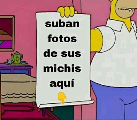 Tio Felino (Leo) tweet media