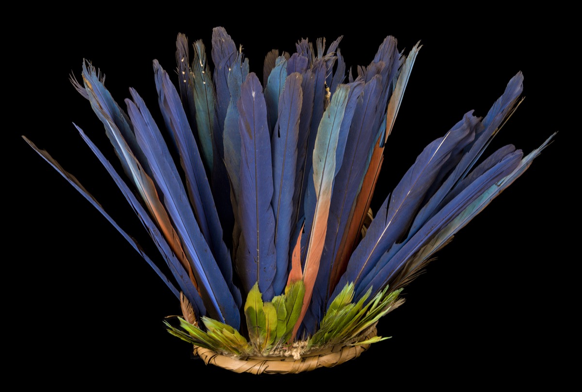 Pitt_Rivers's tweet photo. Find out more about featherwork art &amp; eco-activism on our short gallery tours next week, plus learn how the conservation team care for feathers in the collections. Wed 21 &amp; Thurs 22 Sept, 12-12.30pm. Free but booking required https://t.co/bIRBgtlwGE 

#arthistoryfestival2022 https://t.co/9xpziTE5CK