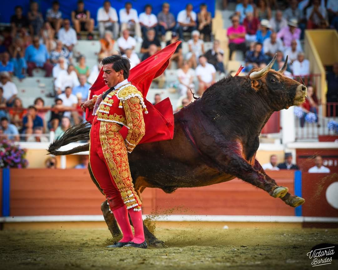 Corrida de clôture - 04/09/2022
📷 <a href="/BordesVictoria/">Bordes Victoria</a> 
Album complet 👉 bit.ly/3U6Xokm
