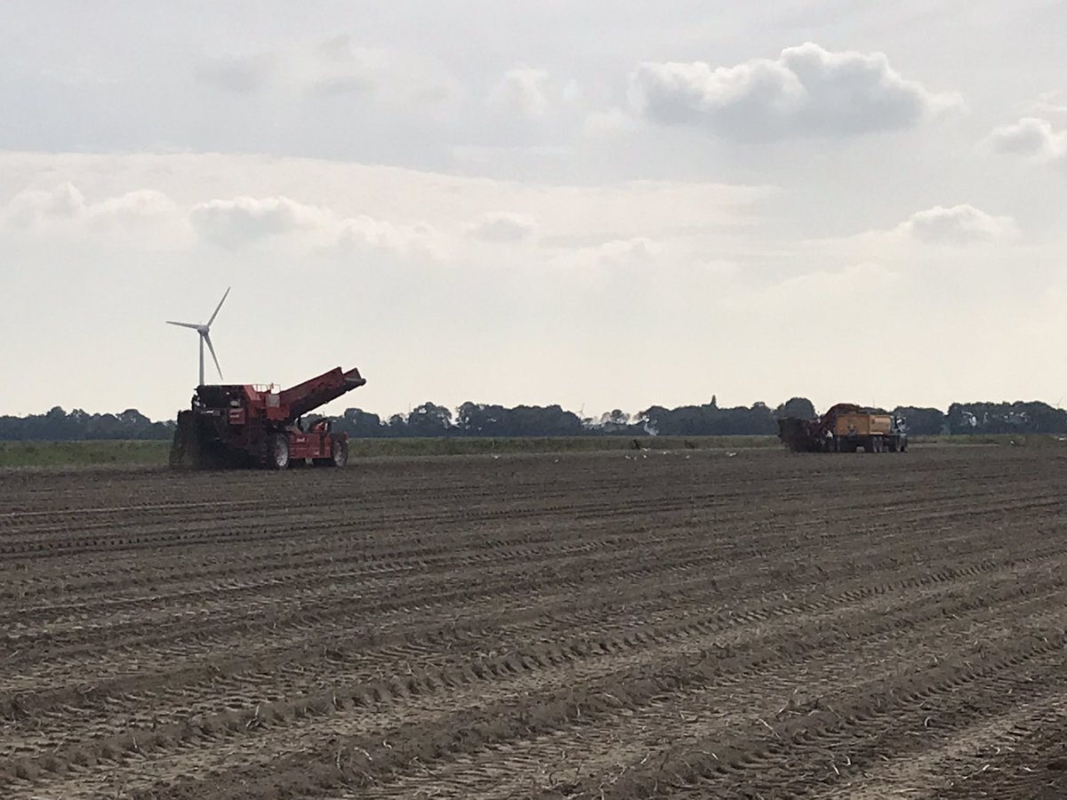 djansen0601's tweet photo. Vandaag even een versnelling erbij, aardappel rooien 2,0 met @JanAppelman https://t.co/GjGZjJ8muj