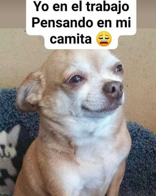 🥺