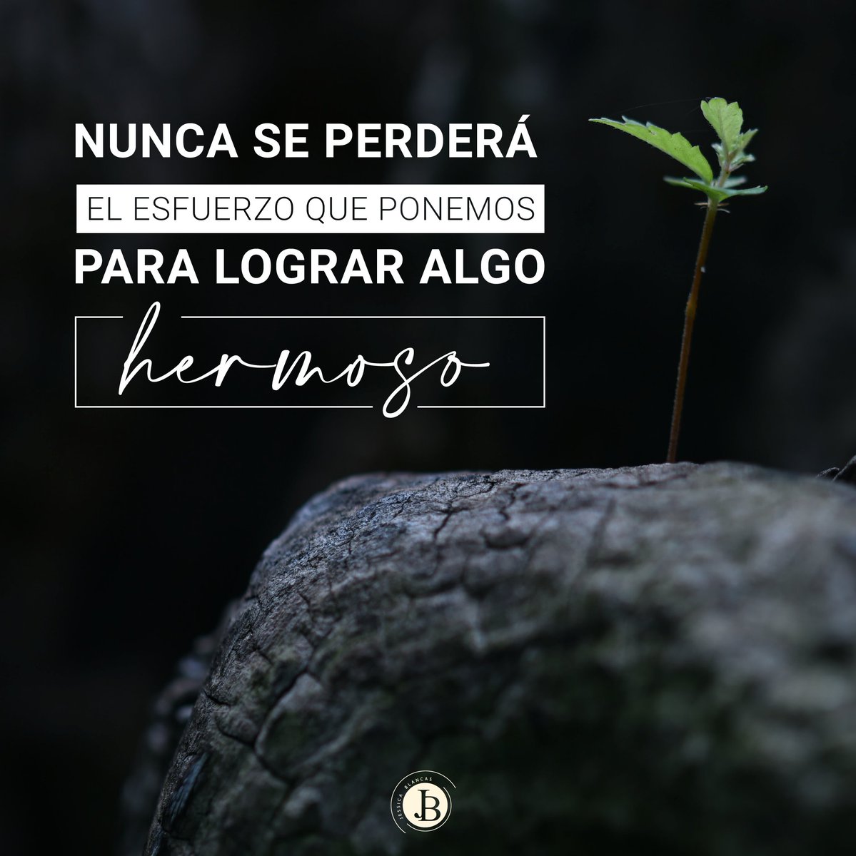 Tengan un muy buen inicio de de semana 🥰