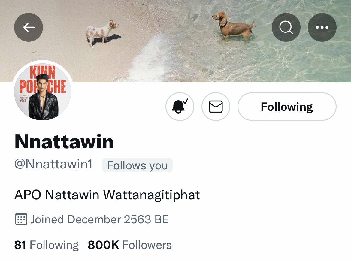 ApoNattawinofc's tweet photo. มาร่วมแสดงความยินดีกับอาโปกันค่า 800k แน้ววว

#800kLoveAroundAPO
#Nnattawin 
@Nnattawin1 https://t.co/Z8XAmXSzxF