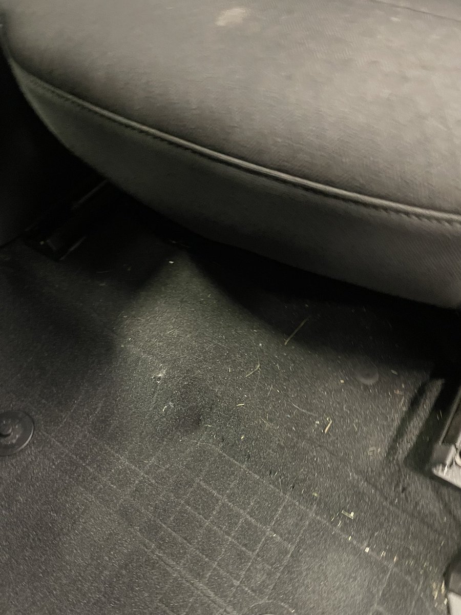 aharder779's tweet photo. When you’re vacuuming your car, always move your seats all the way back &amp; forward. This area is COMMONLY missed when you go to a car wash. If your paying to have your car cleaned you probably want the whole thing clean then. #carcleaningtips https://t.co/rcUvsOZEoW