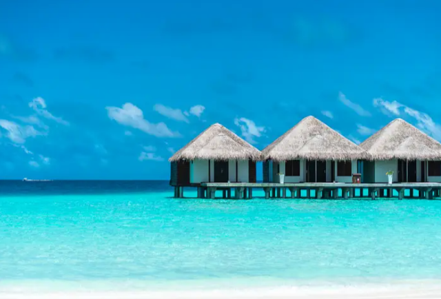 TLCSmith tweet media