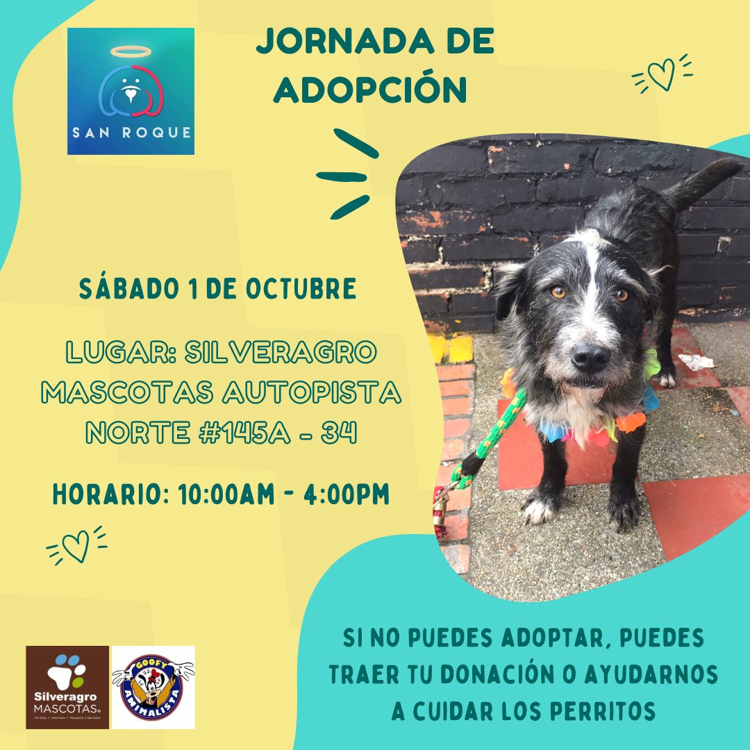 FundacionLucila's tweet photo. JORNADA DE ADOPCIÓN 🐶✨
SÁBADO 1 DE OCTUBRE 💛✨.
Lugar: Silveragro Mascotas, Autopista Norte #145a - 34
Horario: 10:00am - 4:00pm
Nuevamente estaremos acompañados por @goofyanimalista -animalista y amigo de la fundación desde hace muchos años 🥰.
Llevaremos varios de https://t.co/nQA3pyGlsr