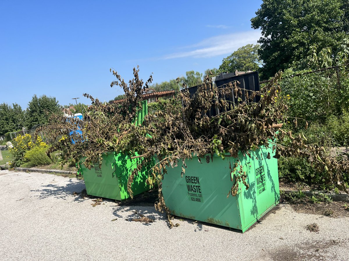 katiefingerhut's tweet photo. @stlcsb good morning. Someone put whole trees in our refuse containers at 3871 bell avenue. They’ve been full for over a week. Assuming they haven’t been emptied because they’re overflowing. I tried to move the trees but unfortunately I don’t have a chain saw. https://t.co/DMnOH7CNlk