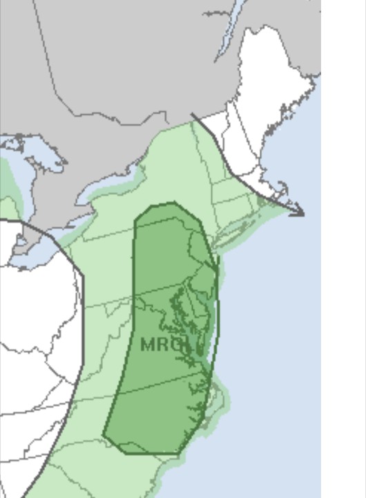 WX2BC's tweet photo. Storm Prediction Center in Norman OK has placed almost all of NJ in a Marginal Risk zone for possible Severe Weather today (Monday)

Stay Alert for later updates and any Watches

https://t.co/W13uOXRMuT https://t.co/PKyl4M2Zkn