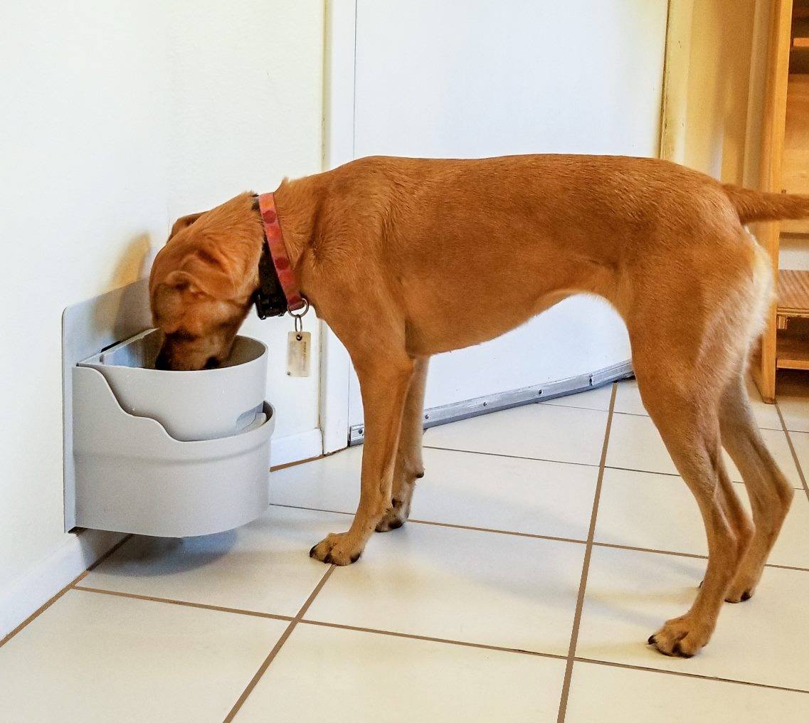 Perpetual__Well's tweet photo. Is your 🐕 water bowl often empty??? Don't let your 🐶 basic need for water go unfulfilled! Perpetual Well is an automatic dog waterer that is self-filling &amp; self-draining. Never Dry, That's Why!

Learn more at https://t.co/B7hrtq17T7

#dog #dogproduct #dogsdaily #dogwellness https://t.co/iCtj2ArcZD