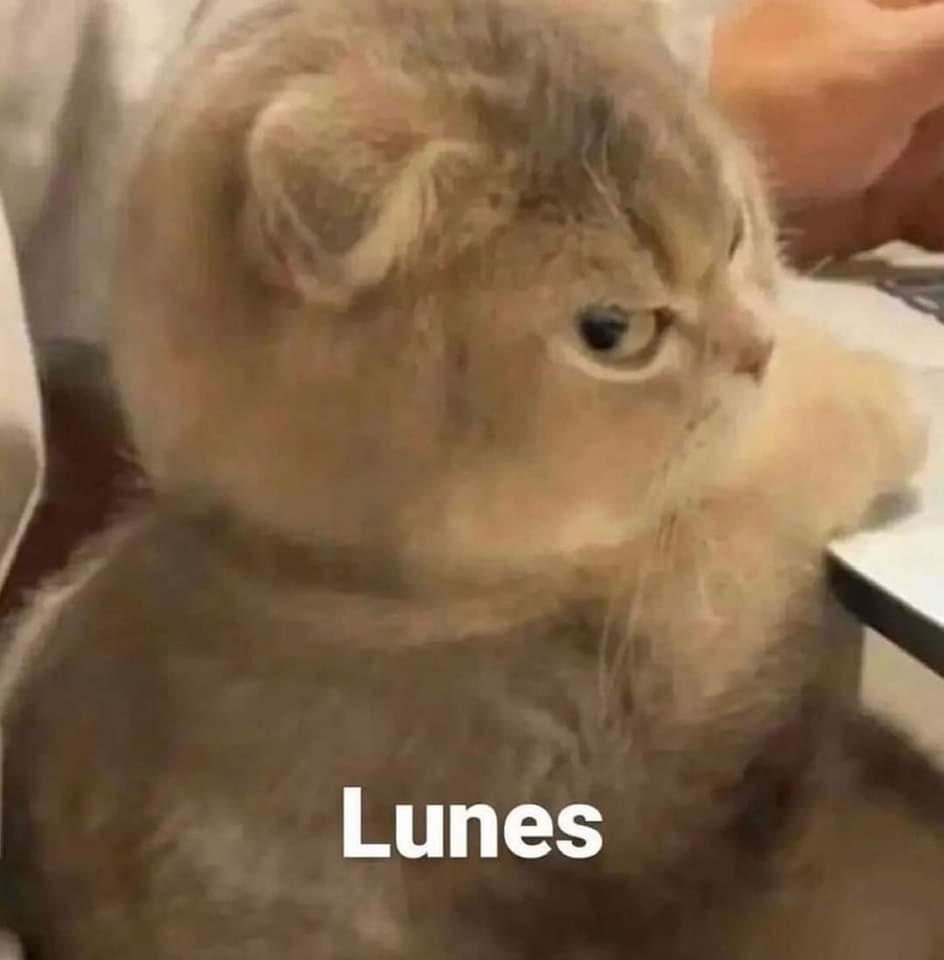 carmeliiru's tweet image. Días!
 Que sea una poderosa semana para todos 🙌🏽✨ #ElMejorPoderoso