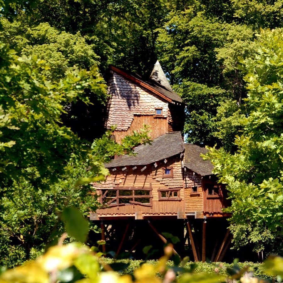 ForumBooks's tweet photo. 💚 Unbe-LEAF-able good news!! 🌳
Wednesday October 12th @acaseforbooks will be @AlnwickGarden Treehouse for afternoon tea 🍰 + book chat 📚 #TheTreehouseLibrary 🍃
Be lovely to see you there! More info here https://t.co/FvWxp0ZOIN https://t.co/E6xjXquB5X