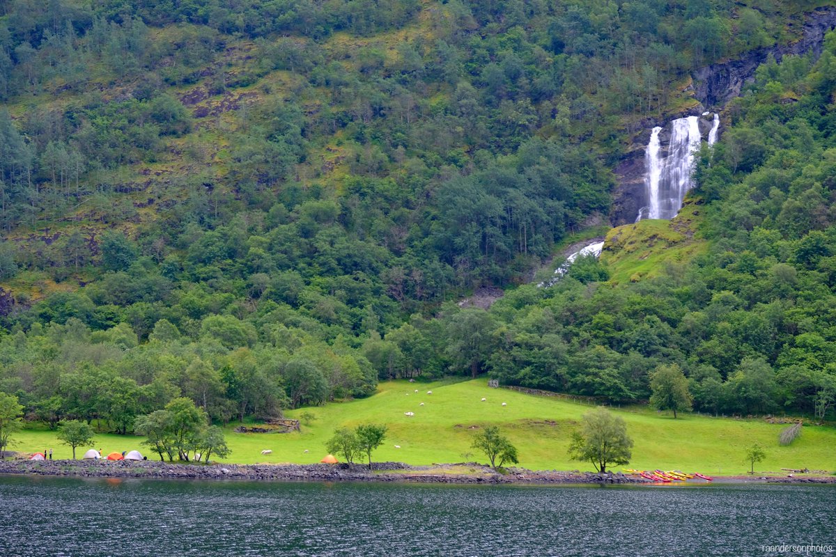 LovingLifeOnTheGo tweet media