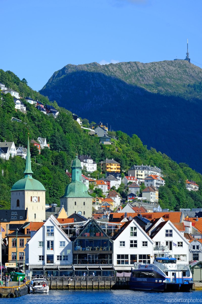 LovingLifeOnTheGo tweet media