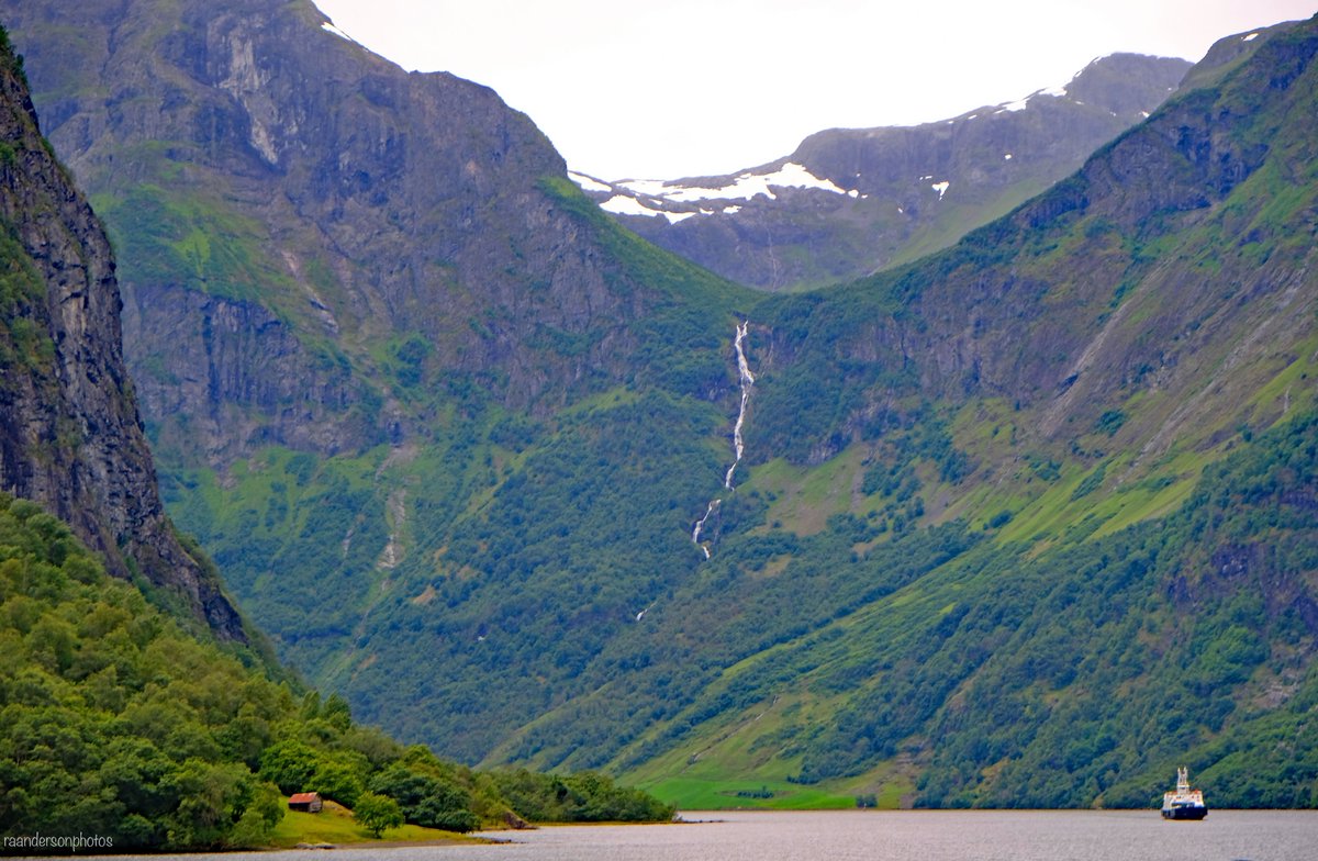 LovingLifeOnTheGo tweet media