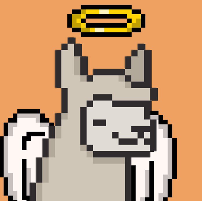 HiQ_09's tweet photo. @AptosAlpacas angel ring and wing paca!! https://t.co/HGaHgwhawn