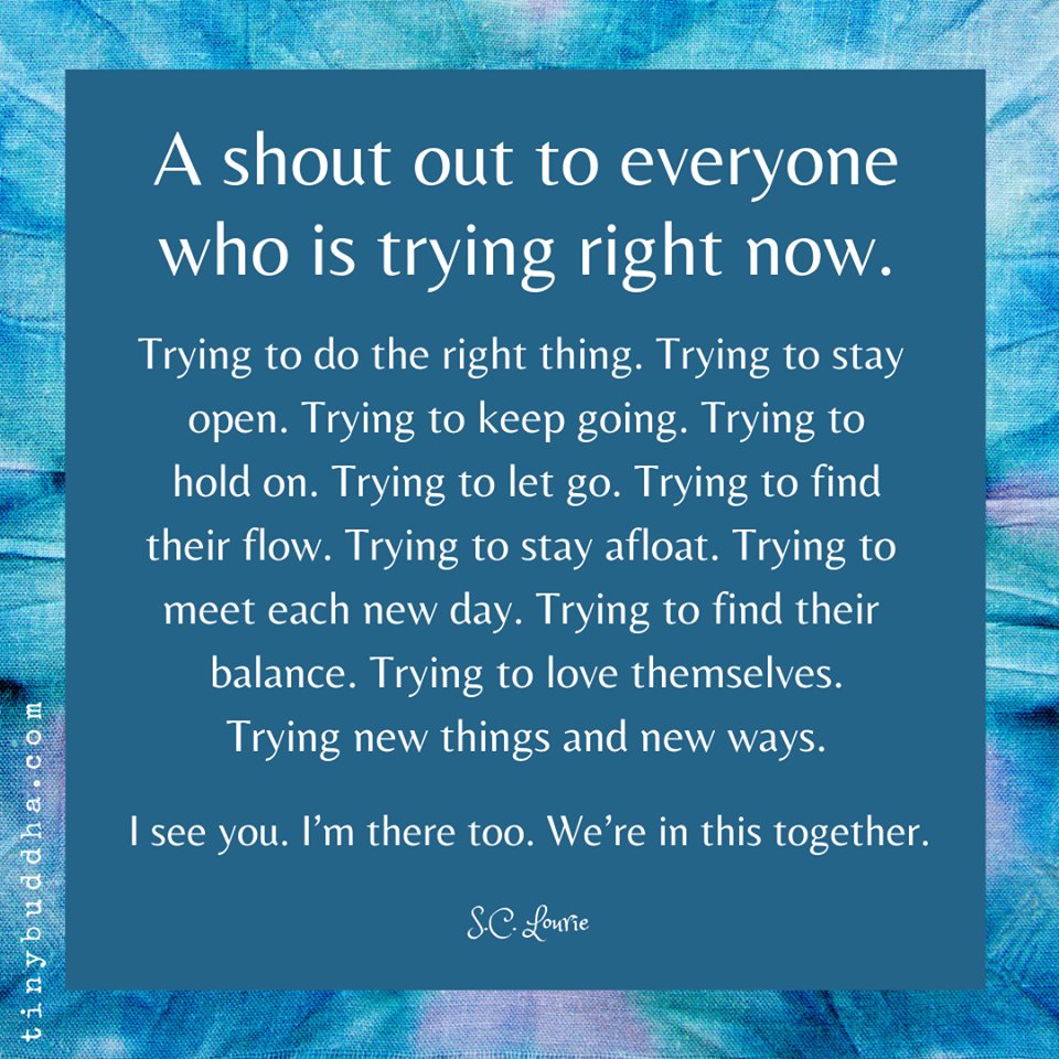 Community Farm Store tweet media