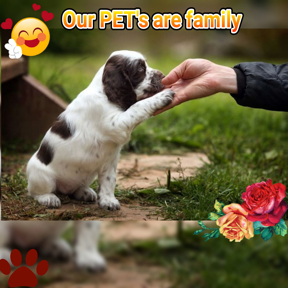 freddy (@freddy1963mail1) on Twitter photo 