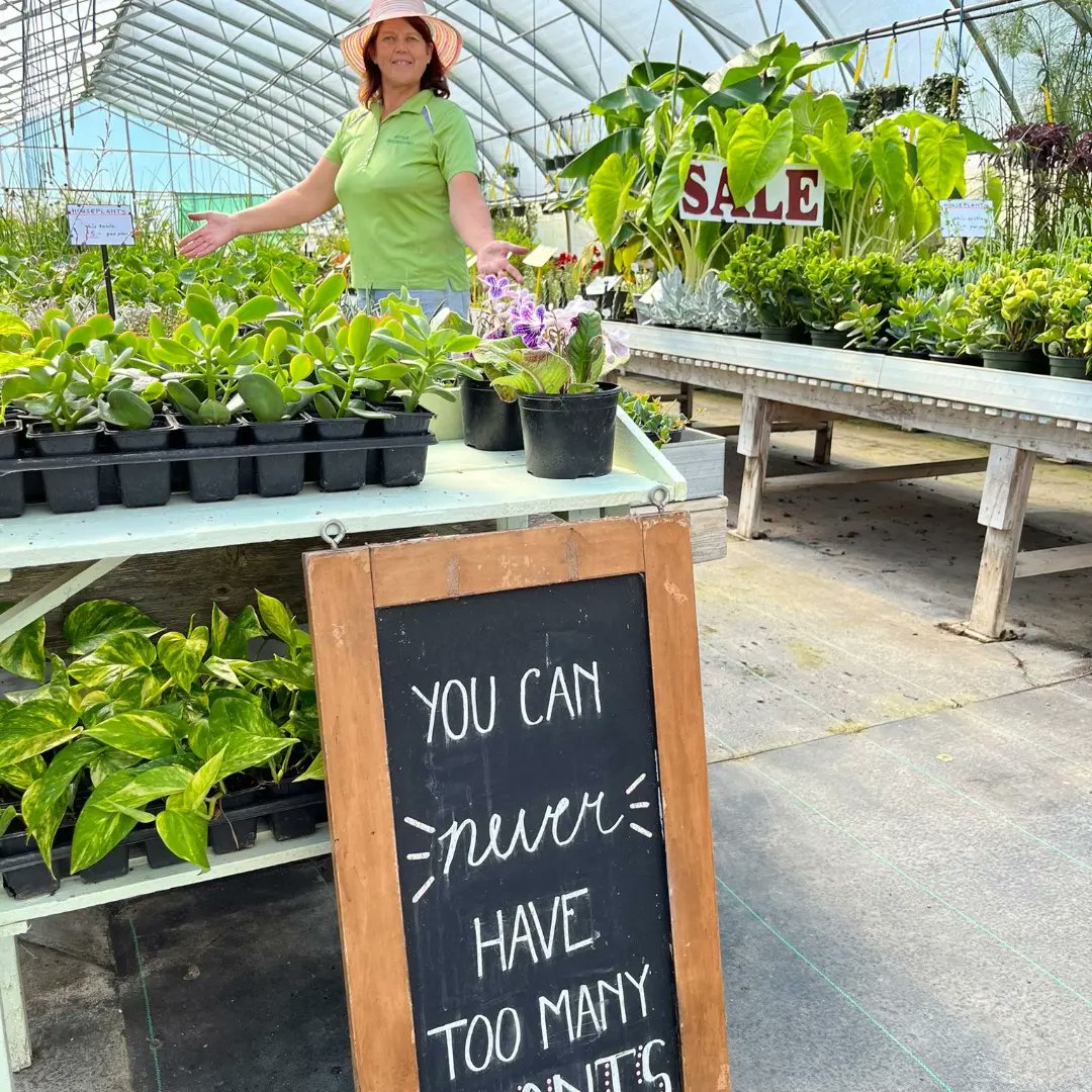 ArthurGreenhous's tweet photo. You can never have too many plants
#arthurgreenhouses https://t.co/ORBlqez0Lk