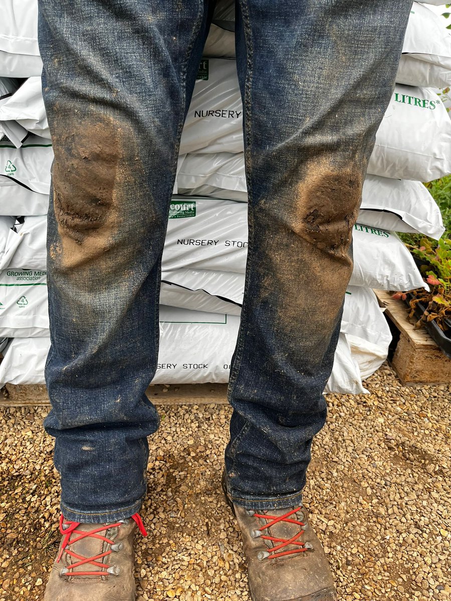 IrisesSeagate's tweet photo. It’s a new jeans kind of day…. first job lifting irises in the pouring rain of course! #newjeans #happywife #nurserylife #fieldgrown #barerootirises #mailorderplants #pouringrain #handdug #plants https://t.co/vU7aXatoWV