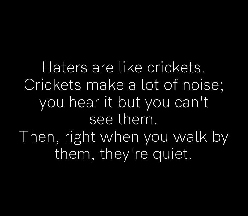 T_Bradley tweet media