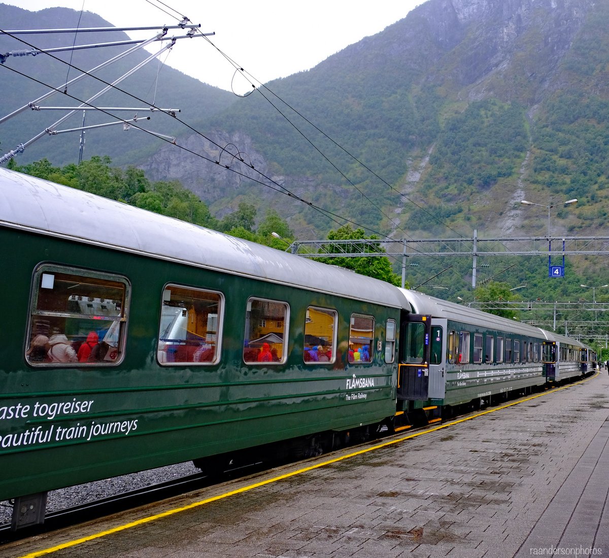 LovingLifeOnTheGo tweet media