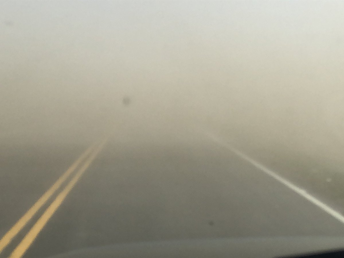 Ross McKenzie tweet media