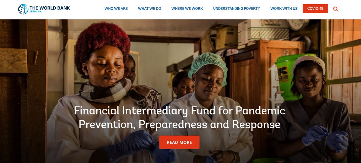 Kiki Kalkstein tweet media