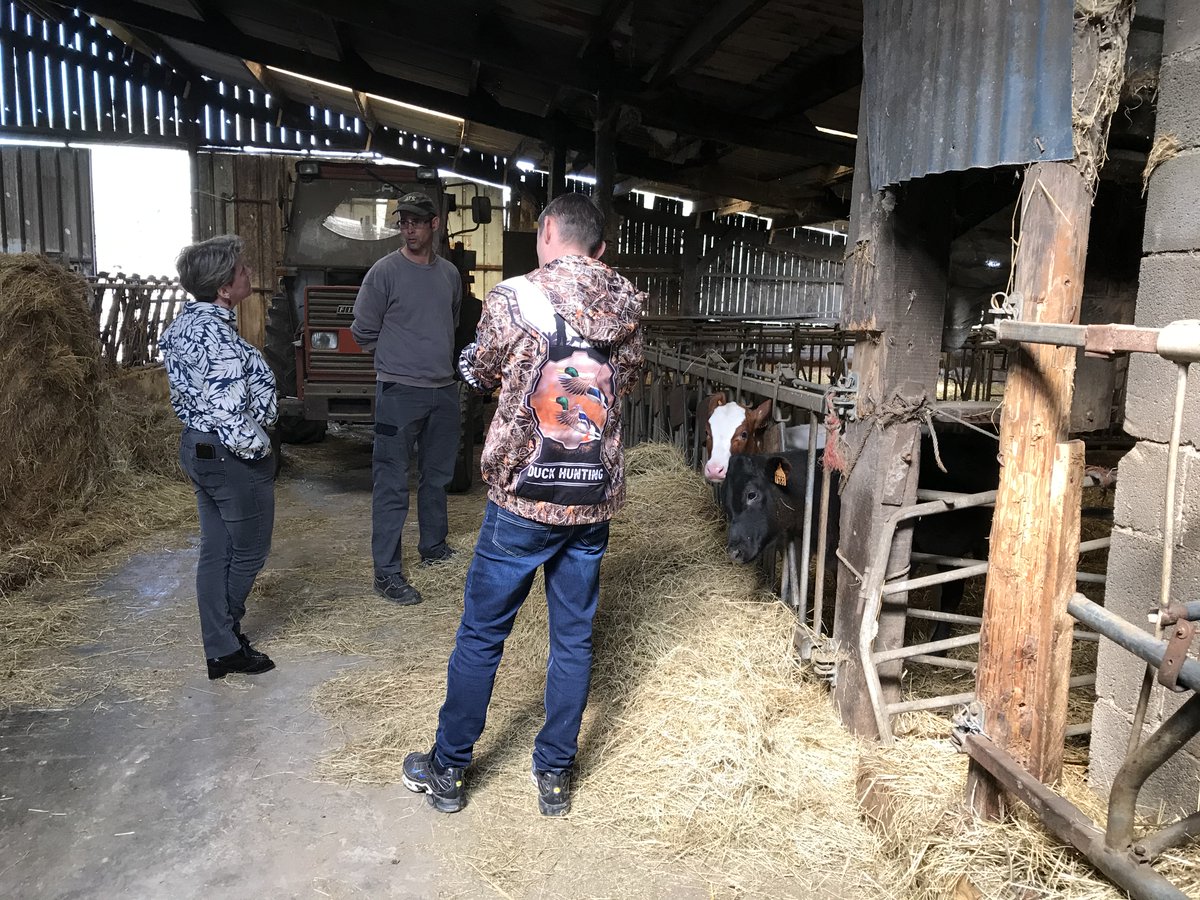 le bimsa (@lebimsa) on Twitter photo La continuité de l’activité agricole est assurée par le service de remplacement. Delphine Grimbert, directrice de l'<a href="/SrthGeath/">SRTH GEATH</a> de Landrecies, en Hauts-de-France, présente son agence. Reportage en #Avesnois, une terre d'#élevage de vaches laitières.
bit.ly/3BvlRIH 👉2/7⤵️ La continuité de l’activité agricole est assurée par le service de remplacement. Delphine Grimbert, directrice de l'<a href="/SrthGeath/">SRTH GEATH</a> de Landrecies, en Hauts-de-France, présente son agence. Reportage en #Avesnois, une terre d'#élevage de vaches laitières.
bit.ly/3BvlRIH 👉2/7⤵️