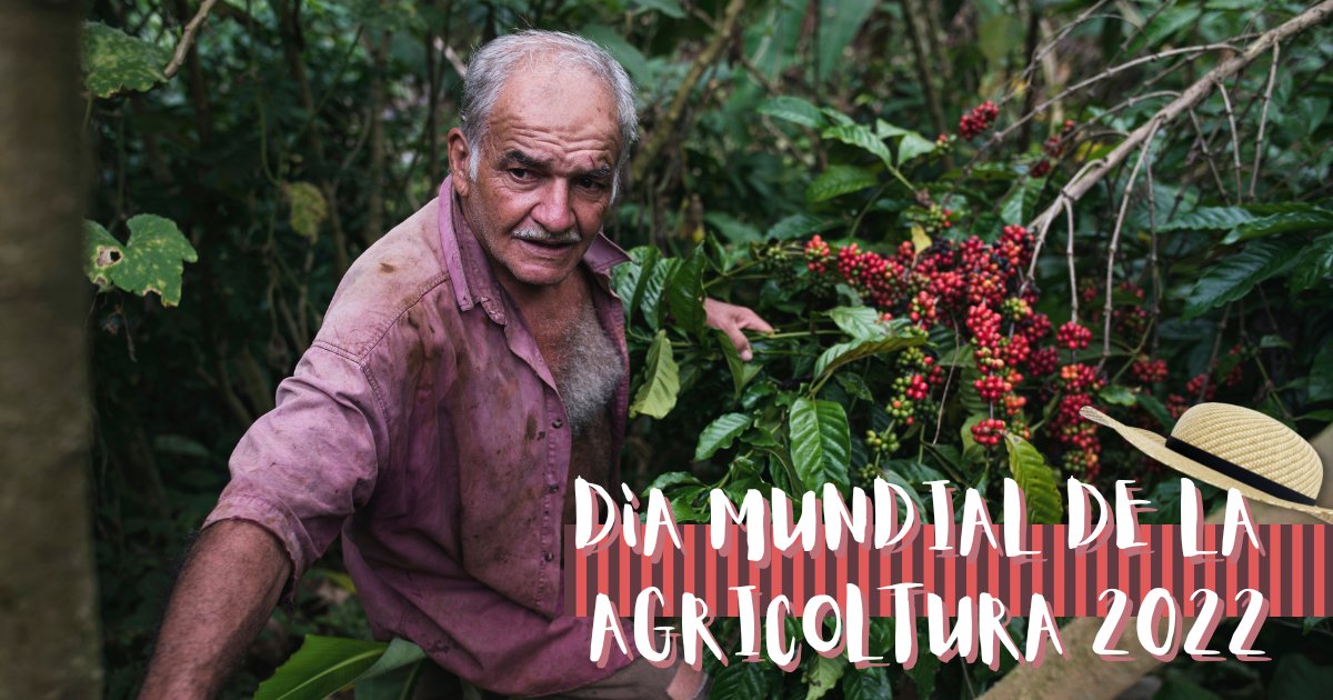 GiustoSano's tweet photo. 🌿 Il 9 di settembre si è festeggiato in tutto il mondo il #DìaMundialDeLaAgricoltura, dedicato a quanti lavorano la terra per produrre alimenti sani e di qualità.
🌎 Una categoria di lavoratori che forse più di tutti gli altri si è trovata a fronteggiare il #ClimateChange. https://t.co/enbYzslS22