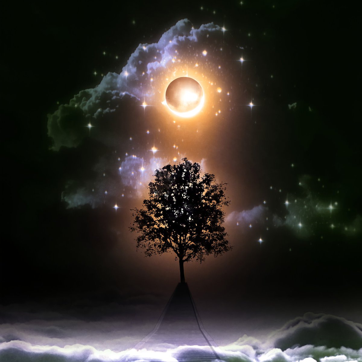 "World tree" only 9 left 
nft-enterprise.io/artist/guru

<a href="/NFT_Enterprise/">Chris</a> <a href="/Photoshop/">Adobe Photoshop</a> @PicsartStudio <a href="/opensea/">OpenSea</a> <a href="/withfoundation/">WITH Foundation</a> <a href="/69NFTGHOST/">I need more NFT</a> 
#tree #nature #space #spacelover #MIDNIGHT_SUN #sun #black #anime #animated #evergreenspace #fantasy #OpenSea #cryptocurrency #digitalart #painting