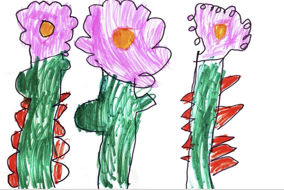 Esther Freeman MD PhD tweet media