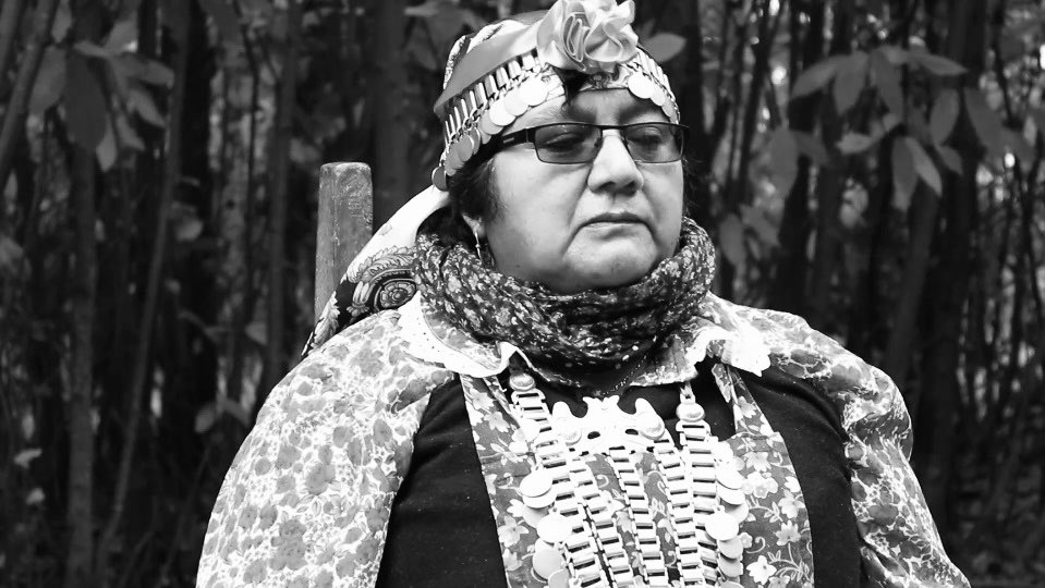 jubrodsky's tweet photo. Siento una profunda emoción por entregar por primera vez el #PremioNacionalMúsica 2022 a una representante de los pueblos originarios de nuestro país: Elisa Avendaño Curaqueo, compositora (ülkantufe) e intérprete, figura clave para la revitalización de la cultura de su pueblo. https://t.co/7VfSBeLU3R