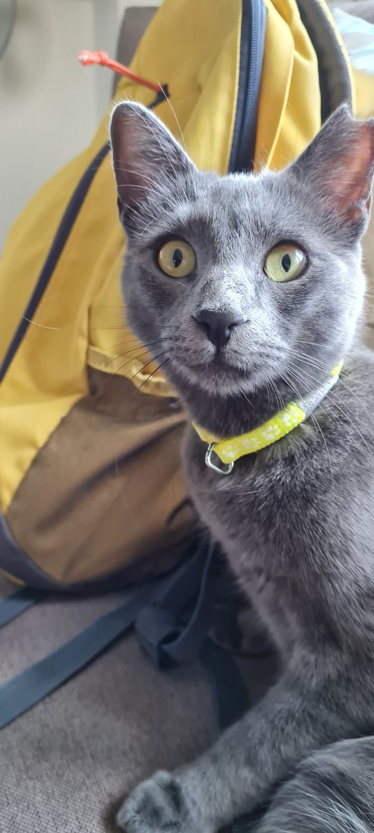 Yayın Didim'e gidiyos bis.