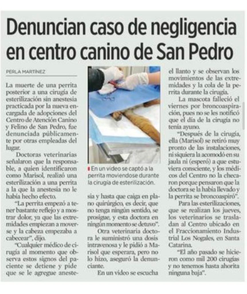 ctcastelo's tweet photo. @SanPedroNL se negó a firmar un convenio para aceptar no tan solo  $900,000 para que ellos adquirieran y administraran de manera directa los insumos necesarios que se utilizan para realizar las esterilizaciones , además insumos de primera calidad. En este convenio además se (🧵) https://t.co/gWa5IMDaXS