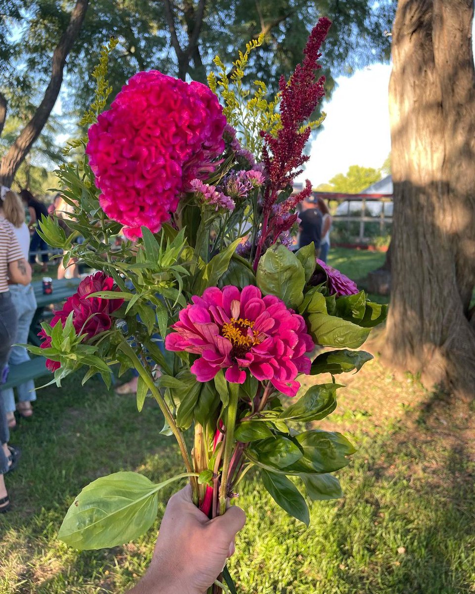 It was a gorgeous evening last Thursday to welcome over 50 guests to our main farm. We shared the path our flowers make from the farm to bouquets.
 
🌼Shoutout to our guests for sharing their creations from the evening!

Tickets to our Sunflower U-pick bit.ly/3pMqTtM