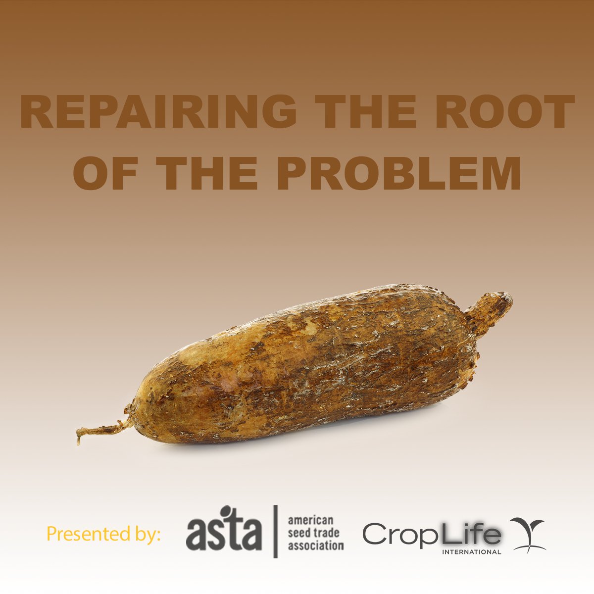 #Cassava is a staple food in many developing countries, but this important crop contains the neurotoxin cyanide. Researchers at UC Berkeley are using #CRISPR to remove the cyanide from the plant. Learn more in our latest video <a href="/CropLifeIntl/">CropLife International</a> youtu.be/Vlbtyyh22S8