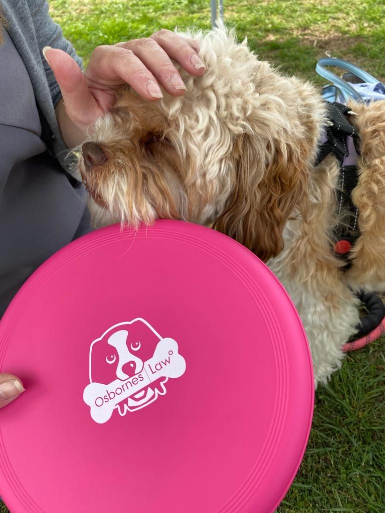 Osbornes Law tweet media