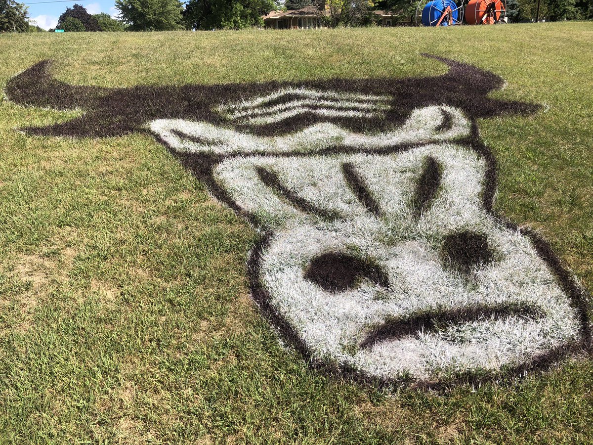 Dave Webb tweet media