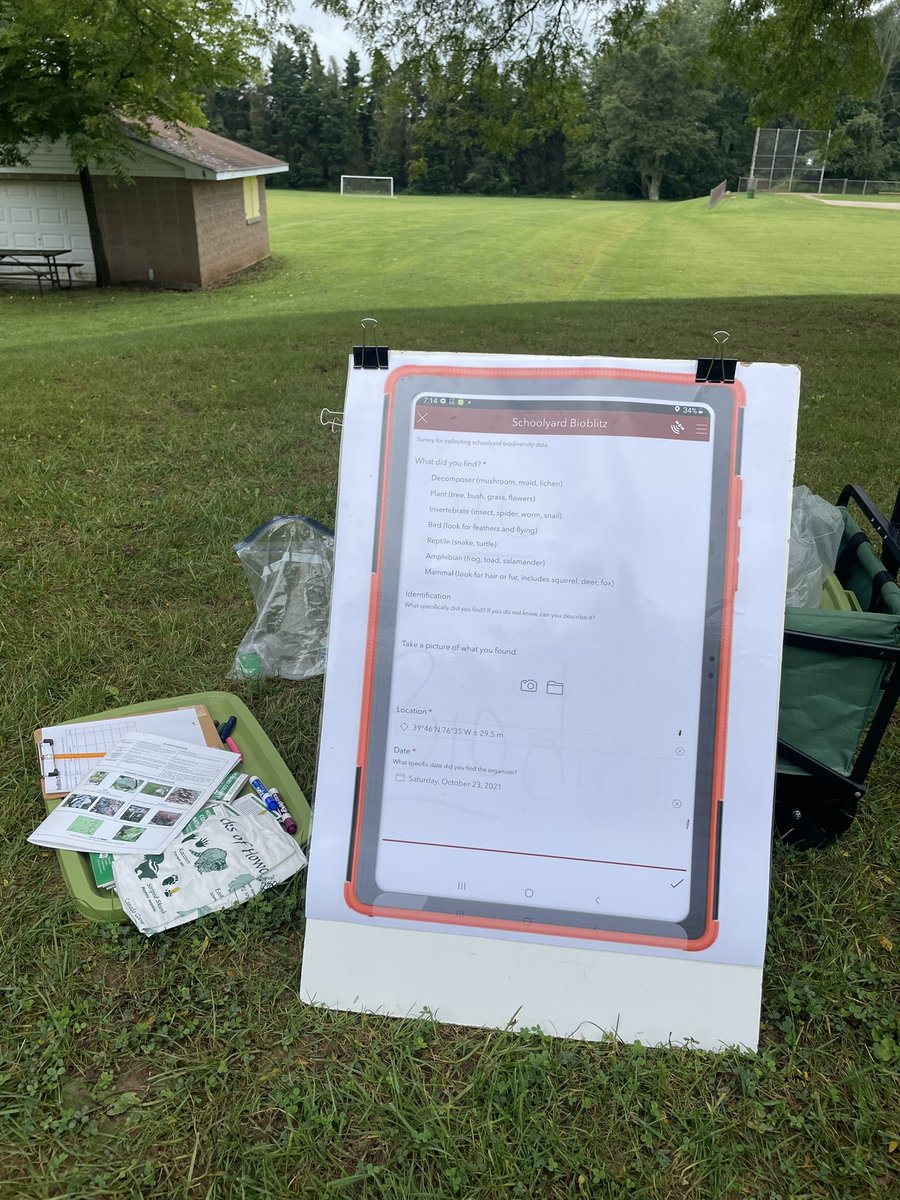 FDESbcps's tweet photo. Grade 5 students participating in schoolyard bio blitz today @BCPSSci @MisterGrappa https://t.co/KjP8XZFiXd