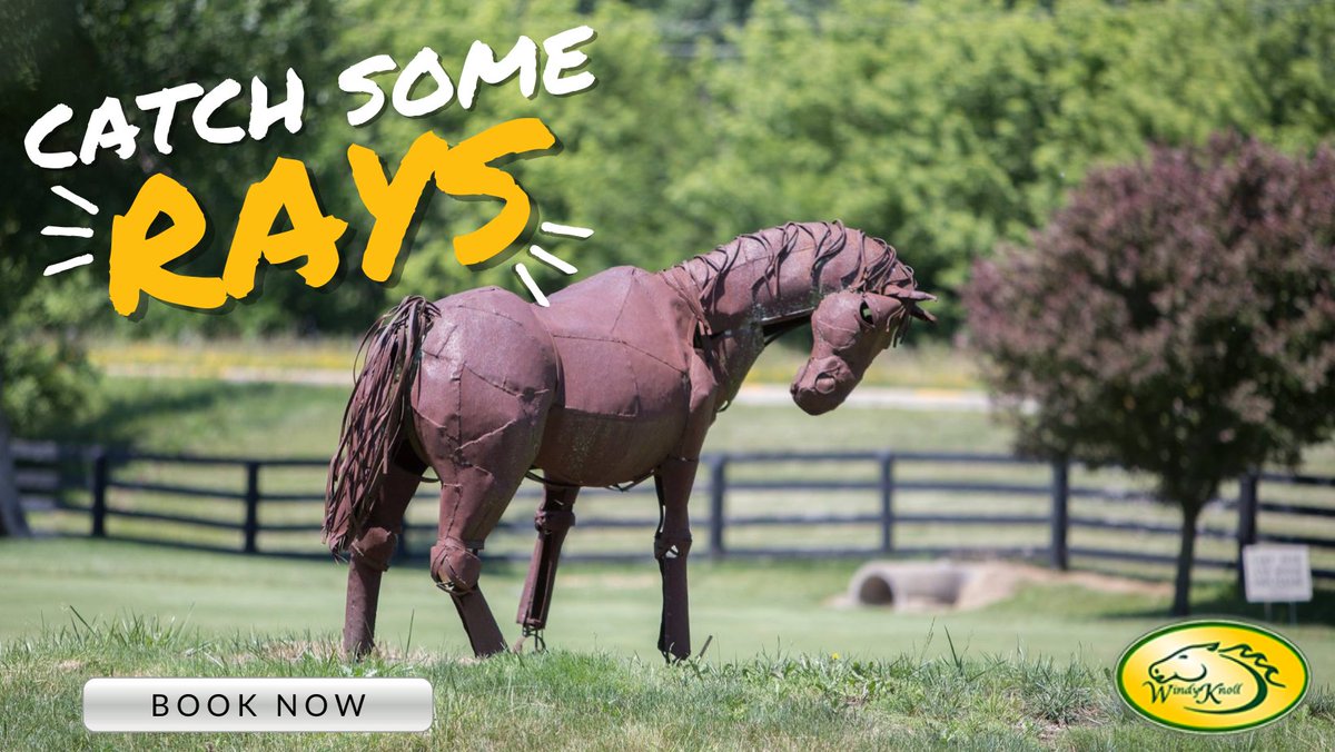 Soak up the sun at Windy Knoll! Book now: bit.ly/3BtF5Pr